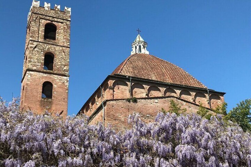 Walking Tour and Exploration of Lucca