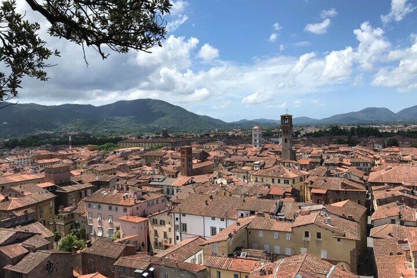 Walking Tour and Exploration of Lucca