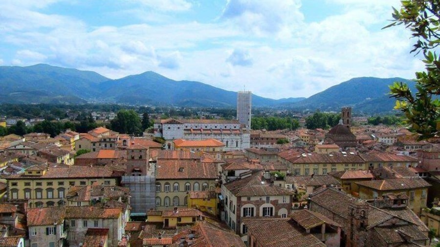 Lucca, view from Torre Guinigi