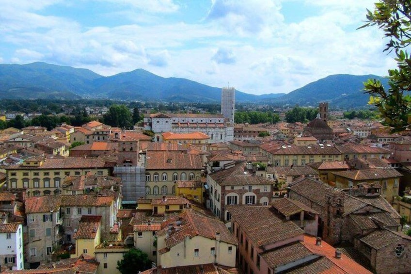Lucca, view from Torre Guinigi