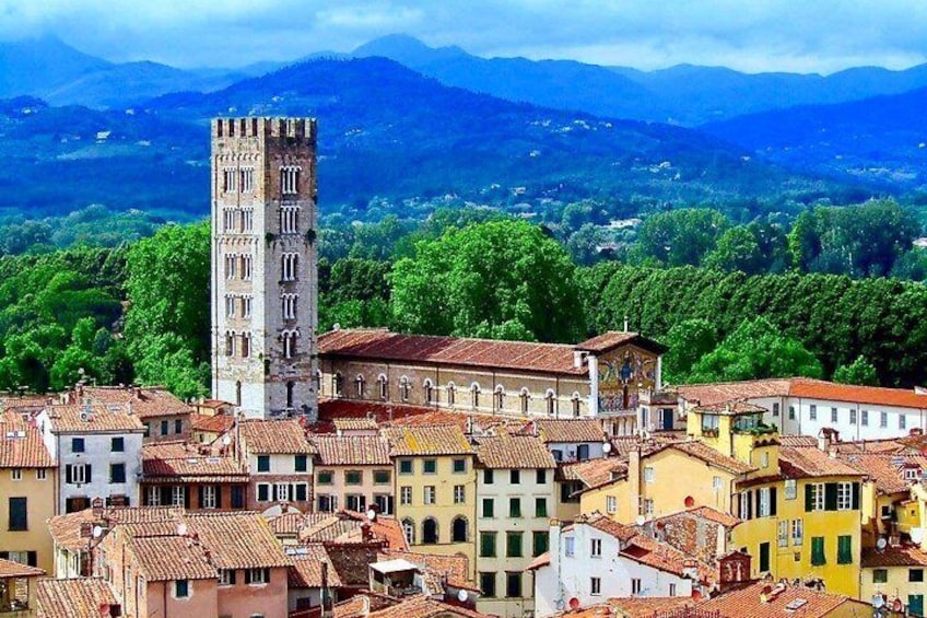 Lucca San Frediano Church