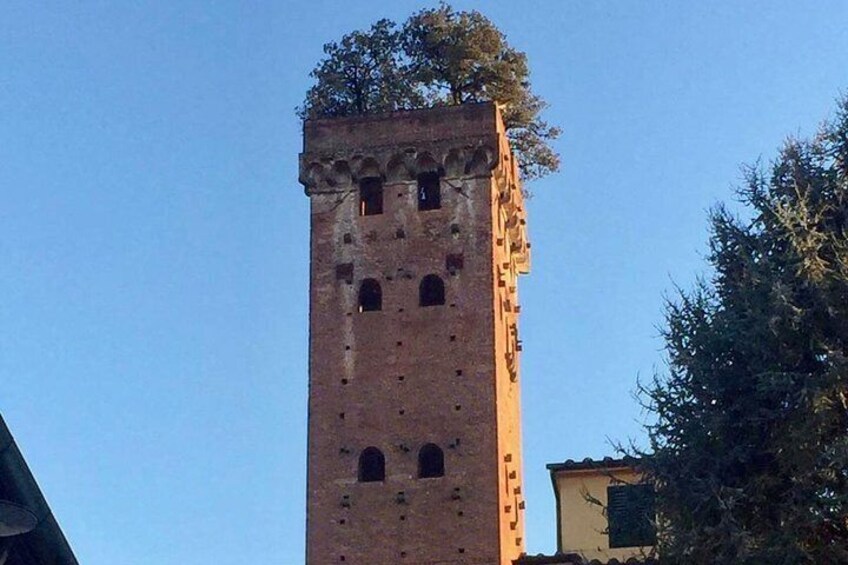 Guinigi Tower