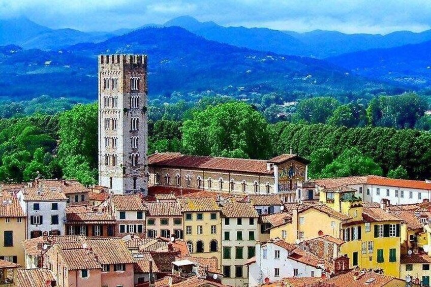 Saint Frediano Church