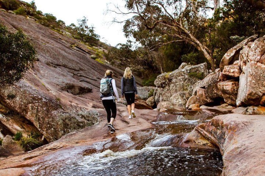 Full-Day Private Tour to Grampians from Melbourne