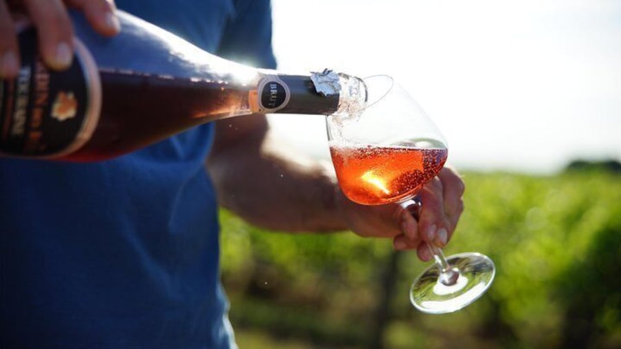 Discover local wines