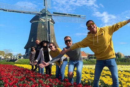 Tulip Field with a Dutch Windmill Tour from Amsterdam