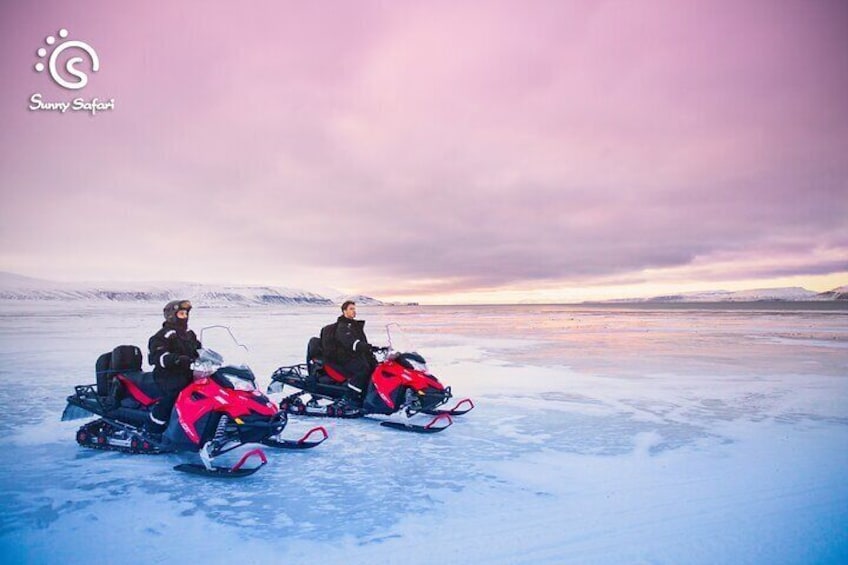 Snowmobile Safari into Arctic Wilderness