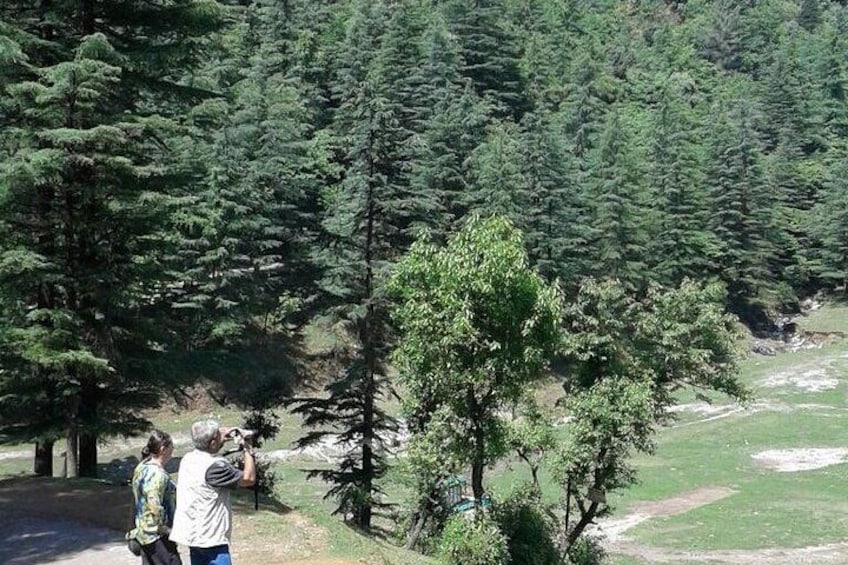 Mussoorie Nature Walk Tour