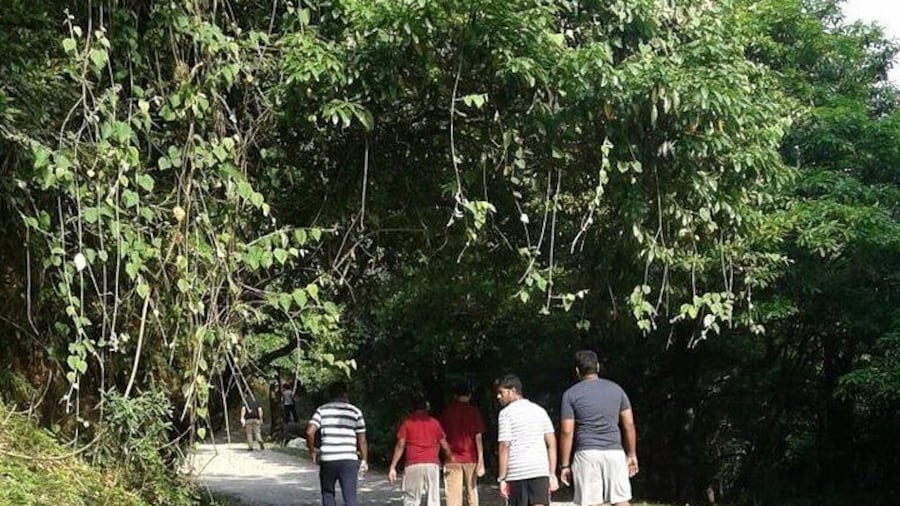 Mussoorie Nature Walk Tour
