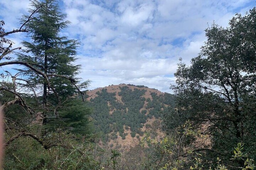 Trek to Benog Tibba