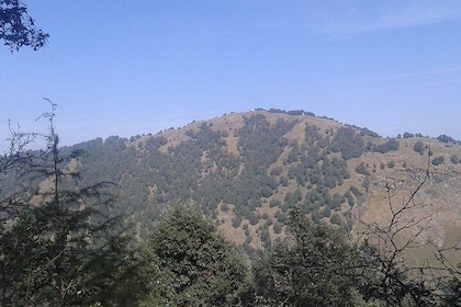 Trek to Benog Tibba