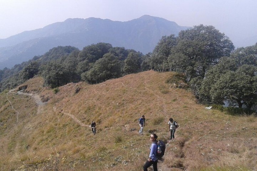 Trek to Benog Tibba