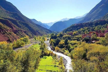 Private Day Trip To Ourika Valley With Lunch From Marrakech