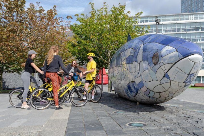 Belfast Bike Tours