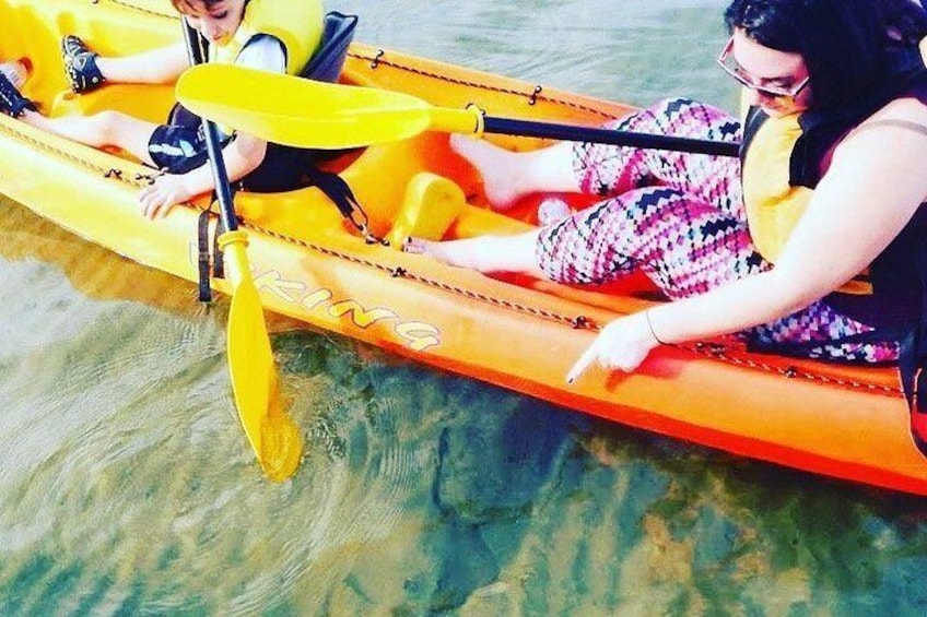 Batemans Bay Glass-Bottom Kayak Tour Over 2 Relaxing Hours