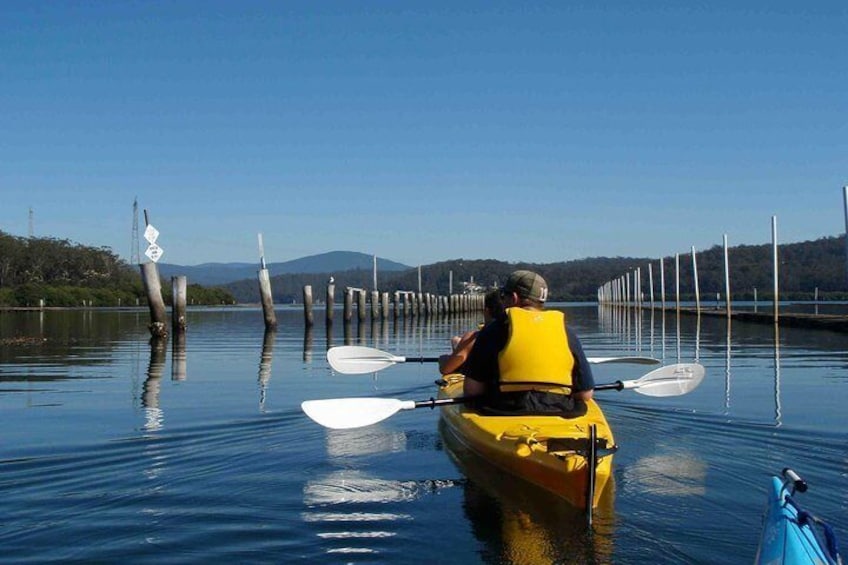 Enjoy oyster tasting before kayaking peacefully through the oyster leases.