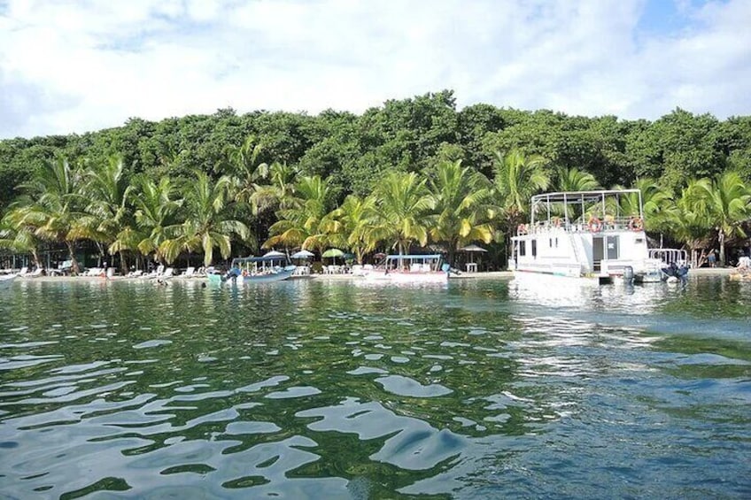 Full-Day Bocas del Toro Catamaran Dolphin and Snorkeling Tour in Panama