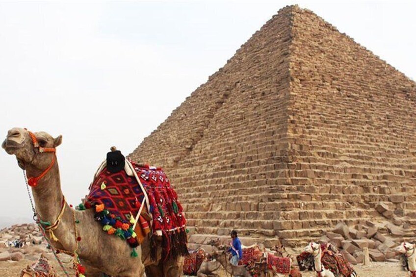 Day Tour To Cairo From Alexandria