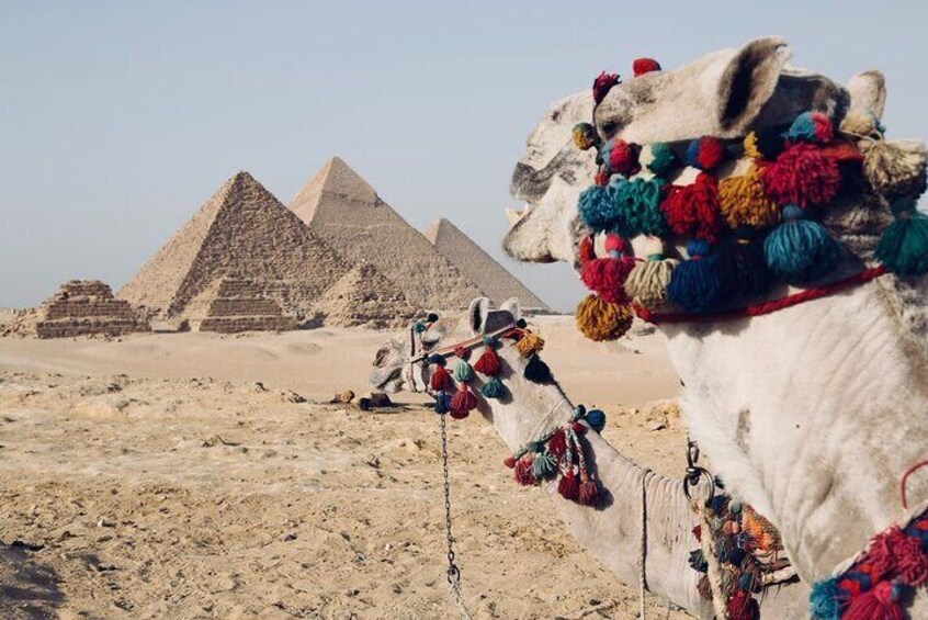 Day Tour To Cairo From Alexandria