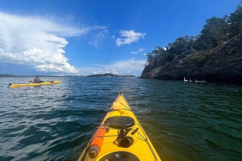 Kayak Tour in the Stockholm Archipelago