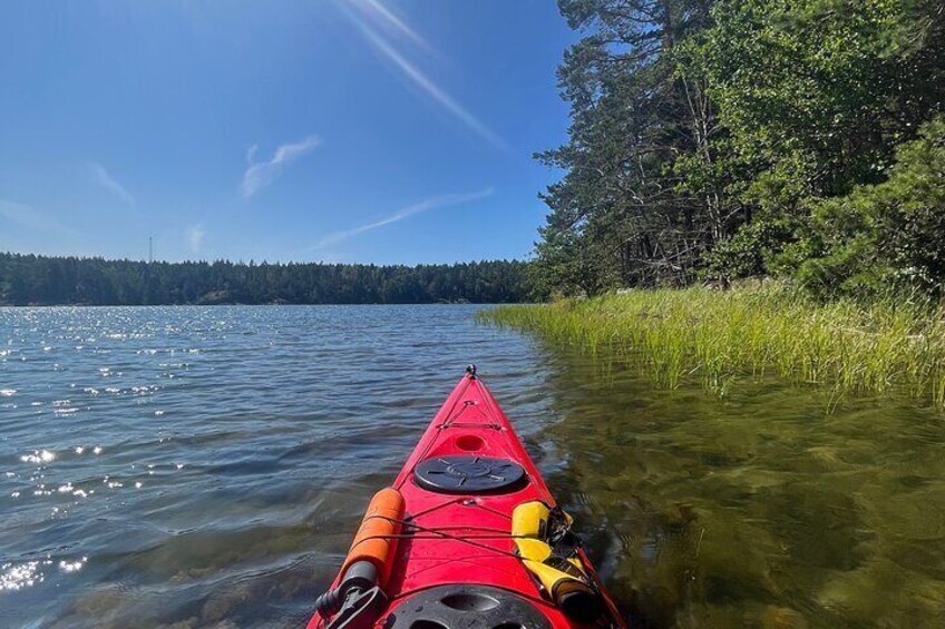 Kayak Tour in the Stockholm Archipelago