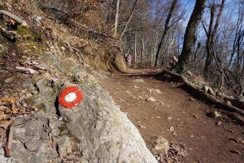 Hiking on the Edge of Ljubljana