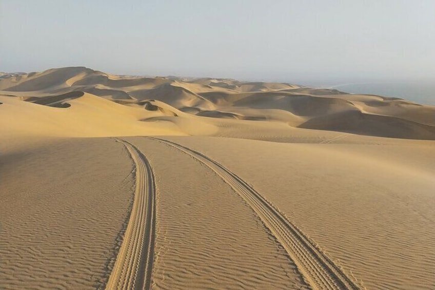Lets leave our tracks high up in the Dunes