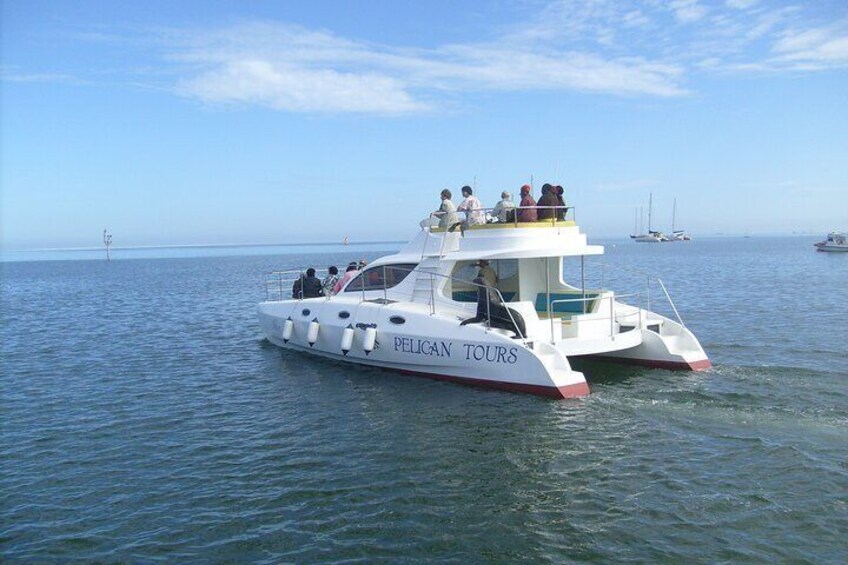 Catamaran out in the Bay