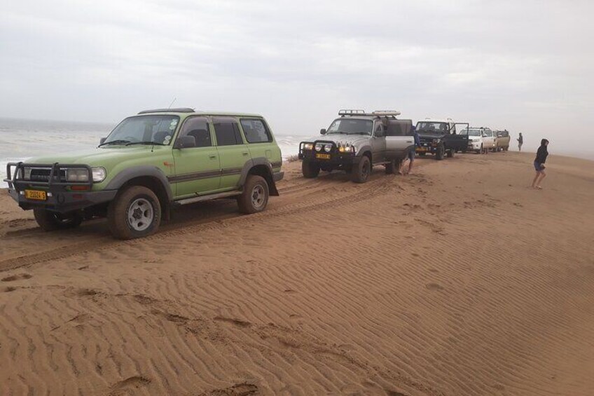 Follow us high up into the dunes