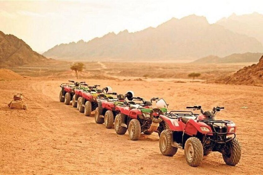 Quad bike ride in the pyramids of Giza