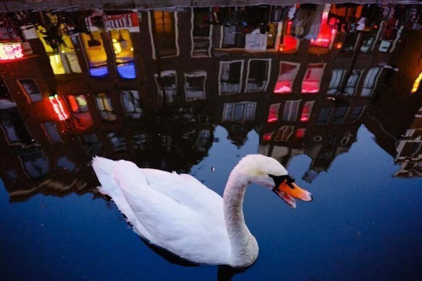 Amsterdam Red Light District Walking Tour