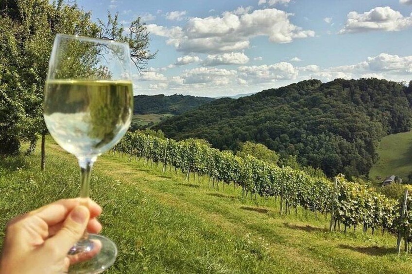 Fairytale castles & delicious wine