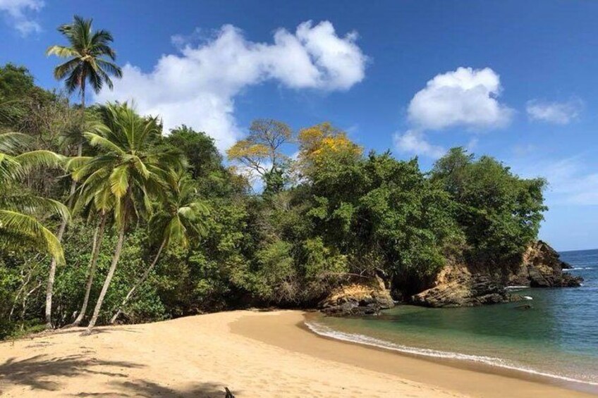 Englishman's Bay Day Trip with Lunch