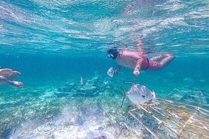 Catalina Island Snorkelling Tour Full Day in Punta Cana