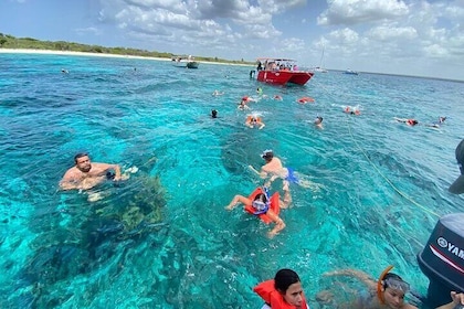 Catalina Island og snorkling - en heldagstur