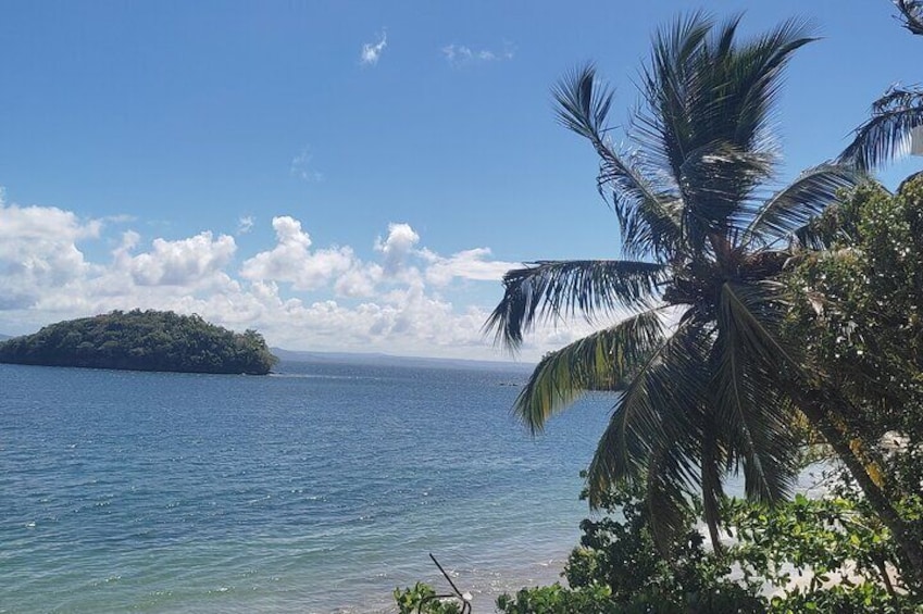 Samana - Levantado Key - Limon Waterfall - Horseback Riding...and more
