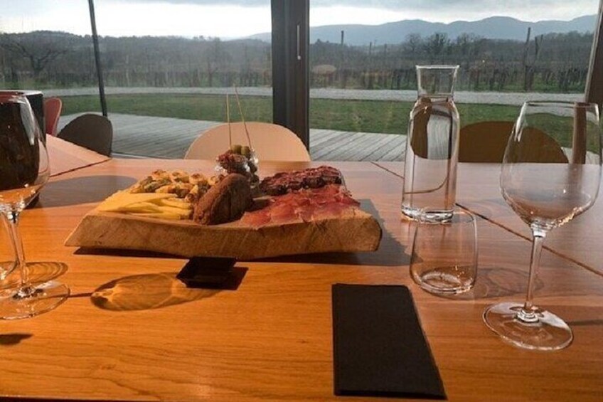 Wine Tasting with Pairing Snacks in Vipava Valley