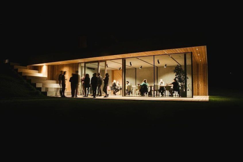 Lepa Vida by night