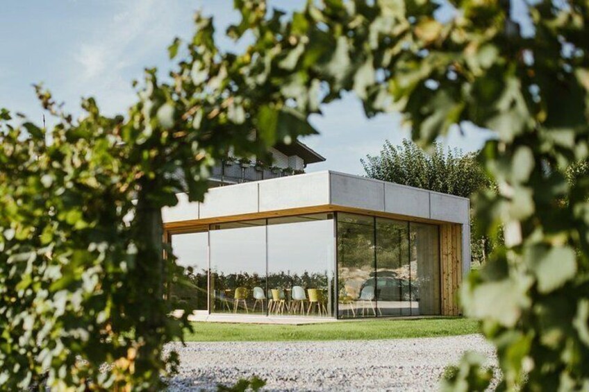 Wine Tasting with Pairing Snacks in Vipava Valley