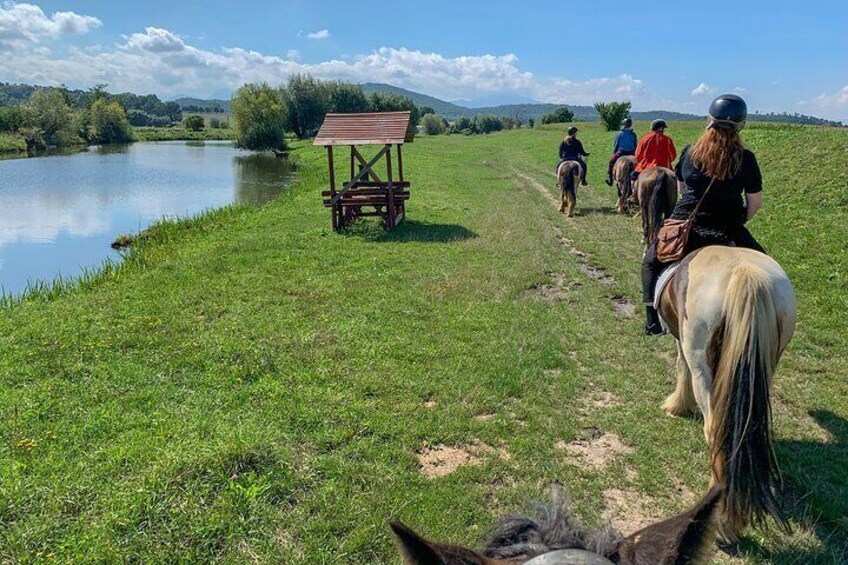 Horseback riding around lakes.