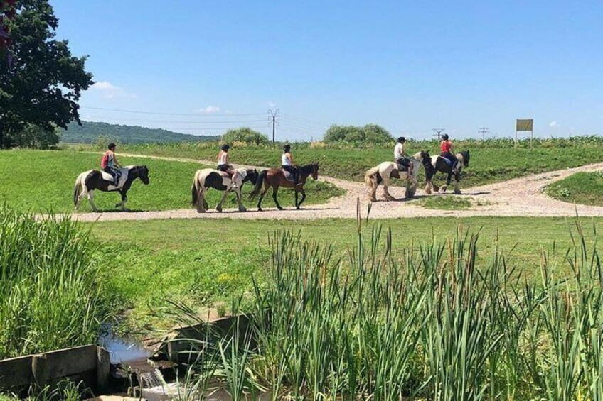 Horseback riding in Brasov.