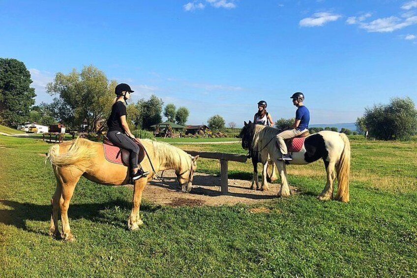 Horseback riding tour start point.