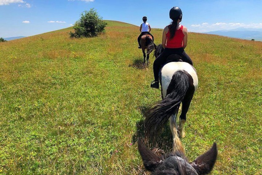 Horseback riding through the Transylvanian hills.