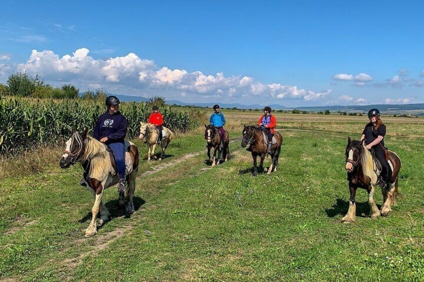 Horseback riding through the Transylvanian fields.