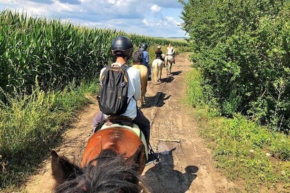 Horseback Riding Tour In Brasov - Ride Horses Through Fields, Forests And H...