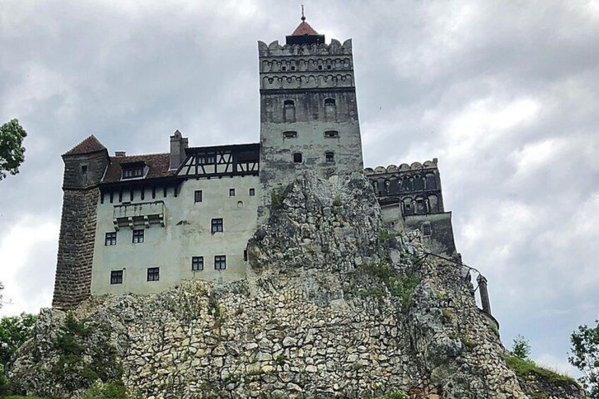 Bran Castle, Rasnov Fortress and Palinca Distillery Day Trip From Brasov