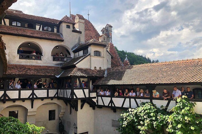 Bran Castle, Rasnov Fortress and Palinca Distillery Day Trip From Brasov