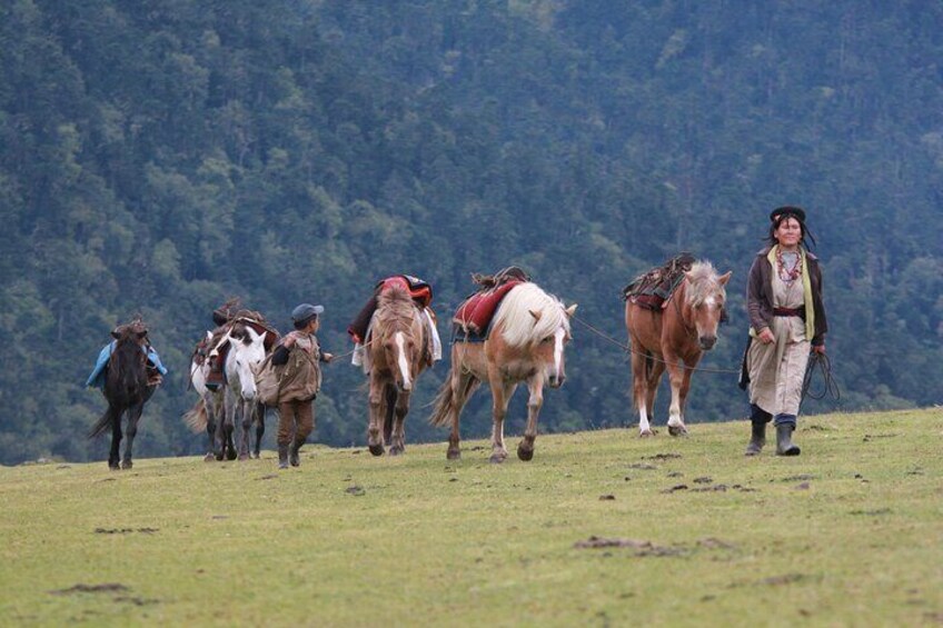 Photography Tour in Thimphu and Dochula Pass