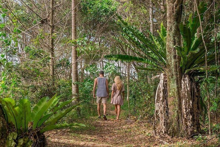 Volcanic Forest Bathing Weekend on Etna