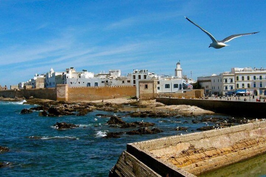 Essaouira Medina 